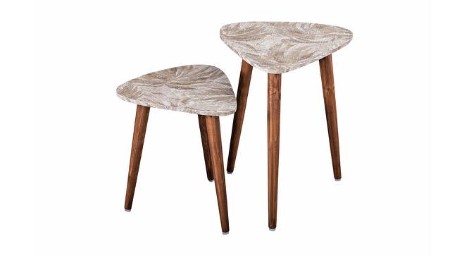 Palmbronze Solid Wood Triangle Nested End Table in Paper Finish - Set of 2 (Brown, PU Paper Finish) by Urban Ladder - Cross View Design 1 - 526481