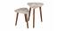 Palmbronze Solid Wood Triangle Nested End Table in Paper Finish - Set of 2 (Brown, PU Paper Finish) by Urban Ladder - Cross View Design 1 - 526481