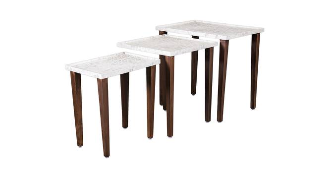 Bhav Solid Wood Nested End Table in Paper Finish - Set of 3 (Multicolor, PU Paper Finish) by Urban Ladder - Cross View Design 1 - 526482