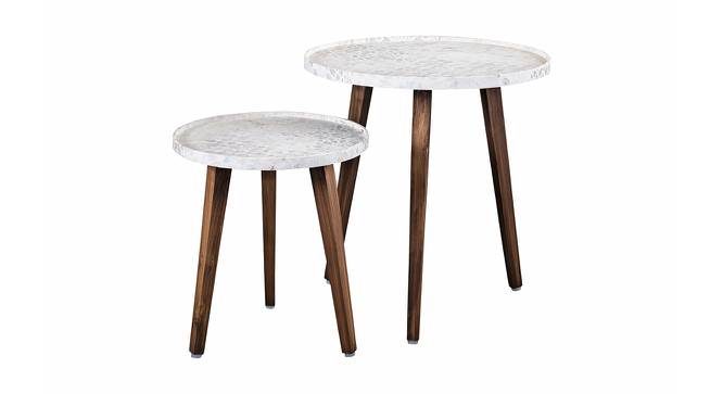 Bhav Solid Wood Round Nested End Table in Paper Finish - Set of 2 (Multicolor, PU Paper Finish) by Urban Ladder - Cross View Design 1 - 526483