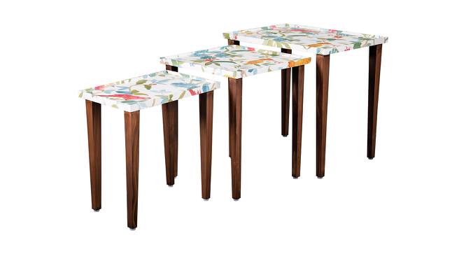 Pakshi Solid Wood Nested End Table in Paper Finish - Set of 3 (Multicolor, PU Paper Finish) by Urban Ladder - Cross View Design 1 - 526484