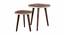Redgoldpaisley Solid Wood Nested End Table in Paper Finish - Set of 2 (Red, PU Paper Finish) by Urban Ladder - Cross View Design 1 - 526485