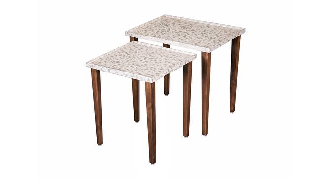 Chaandi Solid Wood Nested End Table in Paper Finish - Set of 2 (Multicolor, PU Paper Finish) by Urban Ladder - Front View Design 1 - 526490