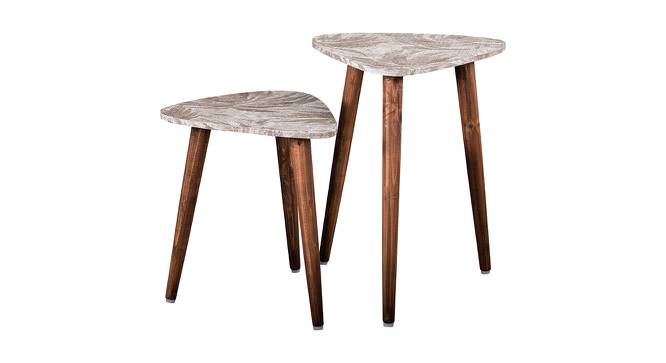 Palmbronze Solid Wood Triangle Nested End Table in Paper Finish - Set of 2 (Brown, PU Paper Finish) by Urban Ladder - Front View Design 1 - 526492
