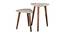 Palmbronze Solid Wood Triangle Nested End Table in Paper Finish - Set of 2 (Brown, PU Paper Finish) by Urban Ladder - Front View Design 1 - 526492