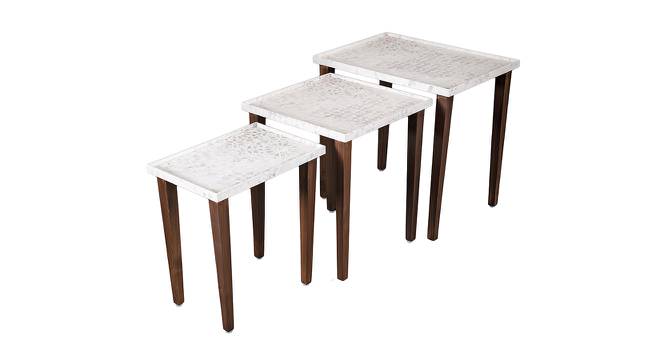 Bhav Solid Wood Nested End Table in Paper Finish - Set of 3 (Multicolor, PU Paper Finish) by Urban Ladder - Front View Design 1 - 526493