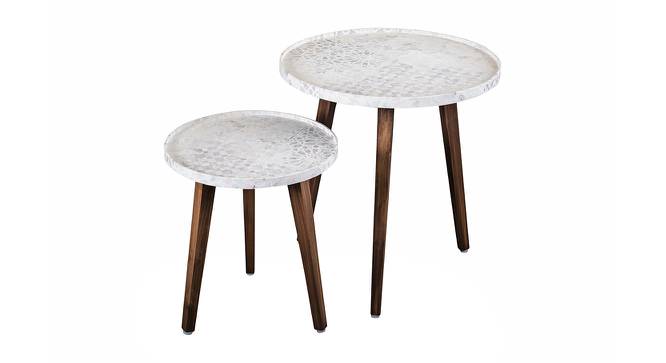 Bhav Solid Wood Round Nested End Table in Paper Finish - Set of 2 (Multicolor, PU Paper Finish) by Urban Ladder - Front View Design 1 - 526494