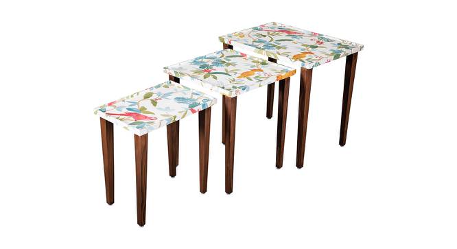 Pakshi Solid Wood Nested End Table in Paper Finish - Set of 3 (Multicolor, PU Paper Finish) by Urban Ladder - Front View Design 1 - 526495