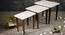 Bhav Solid Wood Nested End Table in Paper Finish - Set of 3 (Multicolor, PU Paper Finish) by Urban Ladder - Rear View Design 1 - 526516