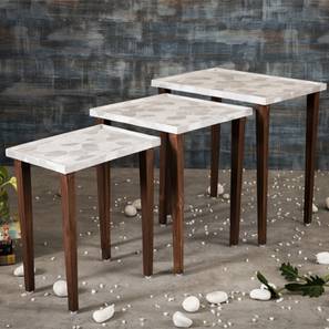a tiny mistake Ryleigh Solid Wood Side Table in Silver Finish-picture-17