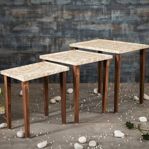 Jungle Solid Wood Side Table in Pu Paper Orange Finish-image-29