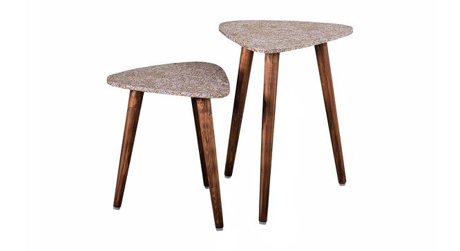 Honeycomb Solid Wood Triangle Nested End Table in Paper Finish - Set of 2 (Multicolor, PU Paper Finish) by Urban Ladder - Cross View Design 1 - 526546
