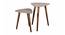 Honeycomb Solid Wood Triangle Nested End Table in Paper Finish - Set of 2 (Multicolor, PU Paper Finish) by Urban Ladder - Cross View Design 1 - 526546