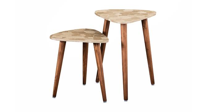 Allure Solid Wood Round Nested End Table in Paper Finish - Set of 2 (PU Paper Finish, Golden) by Urban Ladder - Cross View Design 1 - 526547