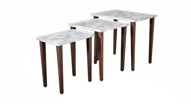 Ryleigh Solid Wood Nested End Table in Paper Finish - Set of 3 (Silver, PU Paper Finish) by Urban Ladder - Cross View Design 1 - 526548