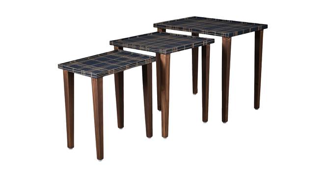 Tesseract Solid Wood Nested End Table in Paper Finish - Set of 3 (Blue, PU Paper Finish) by Urban Ladder - Cross View Design 1 - 526549