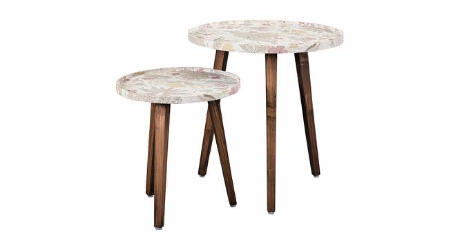 Heritage Solid Wood Round Nested End Table in Paper Finish - Set of 2 (Multicolor, PU Paper Finish) by Urban Ladder - Cross View Design 1 - 526550