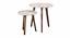 Heritage Solid Wood Round Nested End Table in Paper Finish - Set of 2 (Multicolor, PU Paper Finish) by Urban Ladder - Cross View Design 1 - 526550