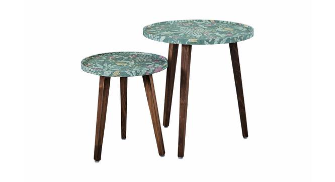 Heritageazure Solid Wood Round Nested End Table in Paper Finish - Set of 2 (Multicolor, PU Paper Finish) by Urban Ladder - Cross View Design 1 - 526551