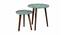 Heritageazure Solid Wood Round Nested End Table in Paper Finish - Set of 2 (Multicolor, PU Paper Finish) by Urban Ladder - Cross View Design 1 - 526551