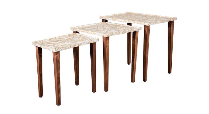 Jungle Solid Wood Nested End Table in Paper Finish - Set of 3 (Orange, PU Paper Finish) by Urban Ladder - Cross View Design 1 - 526552