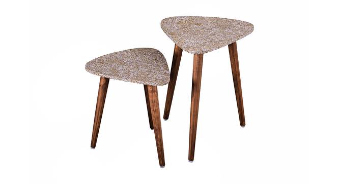Honeycomb Solid Wood Triangle Nested End Table in Paper Finish - Set of 2 (Multicolor, PU Paper Finish) by Urban Ladder - Front View Design 1 - 526558