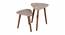 Honeycomb Solid Wood Triangle Nested End Table in Paper Finish - Set of 2 (Multicolor, PU Paper Finish) by Urban Ladder - Front View Design 1 - 526558