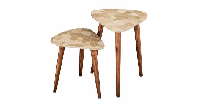 Allure Solid Wood Round Nested End Table in Paper Finish - Set of 2 (PU Paper Finish, Golden) by Urban Ladder - Front View Design 1 - 526559