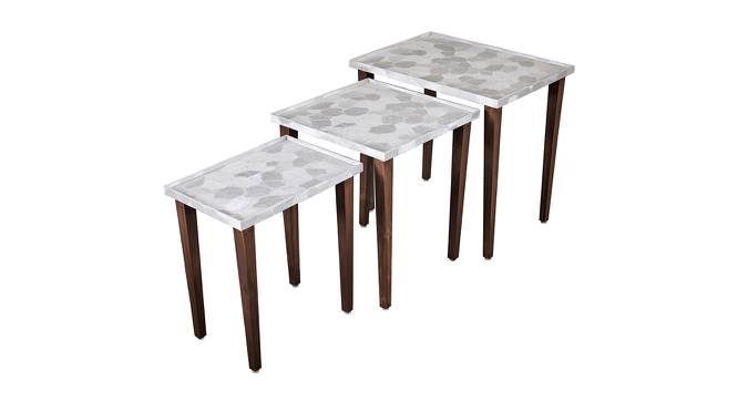 Ryleigh Solid Wood Nested End Table in Paper Finish - Set of 3 (Silver, PU Paper Finish) by Urban Ladder - Front View Design 1 - 526560