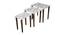 Ryleigh Solid Wood Nested End Table in Paper Finish - Set of 3 (Silver, PU Paper Finish) by Urban Ladder - Front View Design 1 - 526560