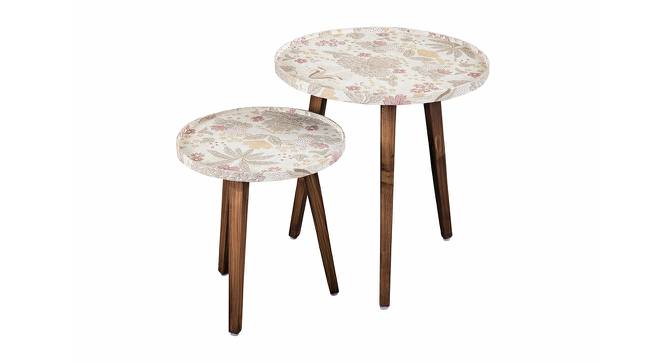 Heritage Solid Wood Round Nested End Table in Paper Finish - Set of 2 (Multicolor, PU Paper Finish) by Urban Ladder - Front View Design 1 - 526562