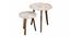 Heritage Solid Wood Round Nested End Table in Paper Finish - Set of 2 (Multicolor, PU Paper Finish) by Urban Ladder - Front View Design 1 - 526562