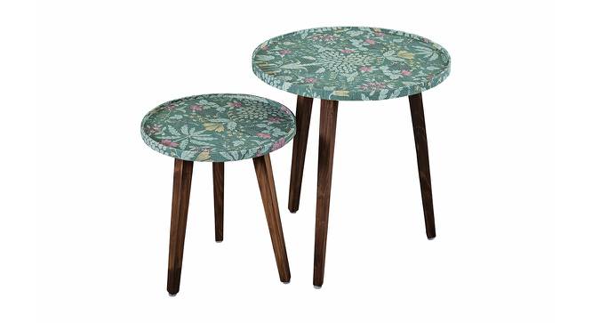 Heritageazure Solid Wood Round Nested End Table in Paper Finish - Set of 2 (Multicolor, PU Paper Finish) by Urban Ladder - Front View Design 1 - 526563