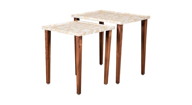 Jungle Solid Wood Nested End Table in Paper Finish - Set of 2 (Orange, PU Paper Finish) by Urban Ladder - Front View Design 1 - 526565