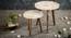 Heritage Solid Wood Round Nested End Table in Paper Finish - Set of 2 (Multicolor, PU Paper Finish) by Urban Ladder - Design 1 Side View - 526573