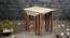 Jungle Solid Wood Nested End Table in Paper Finish - Set of 3 (Orange, PU Paper Finish) by Urban Ladder - Design 1 Side View - 526575
