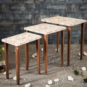 a tiny mistake Heritage Solid Wood Side Table in Multicolor Finish-picture-12