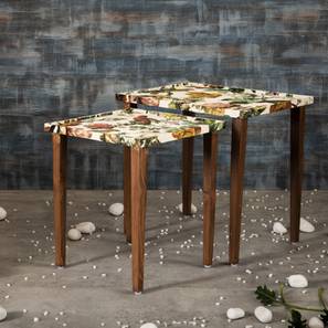 Plushwilderness Solid Wood Side Table in Multicolor Finish-image-19