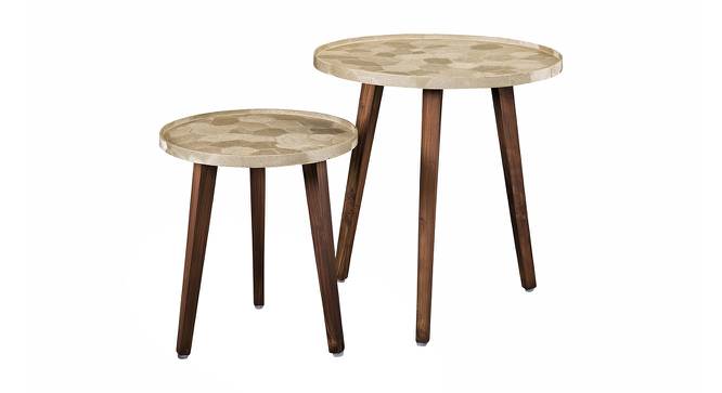 Allure Solid Wood Rectangle Nested End Table in Paper Finish - Set of 2 (PU Paper Finish, Golden) by Urban Ladder - Cross View Design 1 - 526614