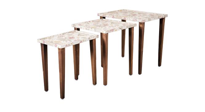 Heritagealabaster Solid Wood Nested End Table in Paper Finish - Set of 3 (Multicolor, PU Paper Finish) by Urban Ladder - Cross View Design 1 - 526615