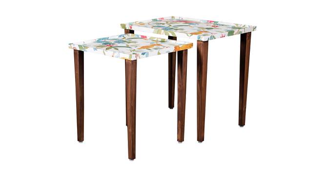Pakshi Solid Wood Rectangular Nested End Table in Paper Finish - Set of 2 (Multicolor, PU Paper Finish) by Urban Ladder - Cross View Design 1 - 526618