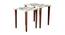 Pakshi Solid Wood Rectangular Nested End Table in Paper Finish - Set of 2 (Multicolor, PU Paper Finish) by Urban Ladder - Cross View Design 1 - 526618