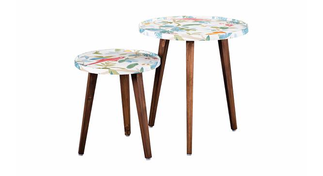 Pakshi Solid Wood Round Nested End Table in Paper Finish - Set of 2 (Multicolor, PU Paper Finish) by Urban Ladder - Cross View Design 1 - 526619