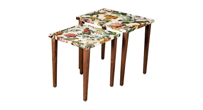 Plushwilderness Solid Wood Rectangular Nested End Table in Paper Finish - Set of 2 (Multicolor, PU Paper Finish) by Urban Ladder - Cross View Design 1 - 526620