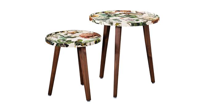 Plushwilderness Solid Wood Round Nested End Table in Paper Finish - Set of 2 (Multicolor, PU Paper Finish) by Urban Ladder - Cross View Design 1 - 526621