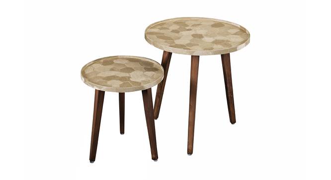 Allure Solid Wood Rectangle Nested End Table in Paper Finish - Set of 2 (PU Paper Finish, Golden) by Urban Ladder - Front View Design 1 - 526624