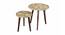Allure Solid Wood Rectangle Nested End Table in Paper Finish - Set of 2 (PU Paper Finish, Golden) by Urban Ladder - Front View Design 1 - 526624