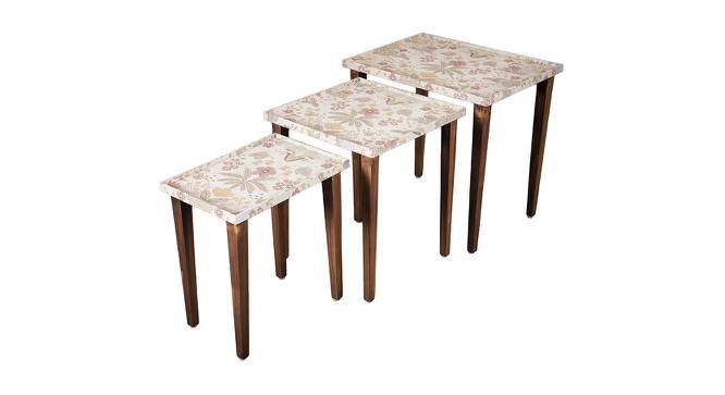 Heritagealabaster Solid Wood Nested End Table in Paper Finish - Set of 3 (Multicolor, PU Paper Finish) by Urban Ladder - Front View Design 1 - 526625