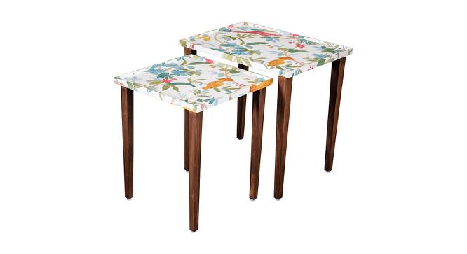 Pakshi Solid Wood Rectangular Nested End Table in Paper Finish - Set of 2 (Multicolor, PU Paper Finish) by Urban Ladder - Front View Design 1 - 526628