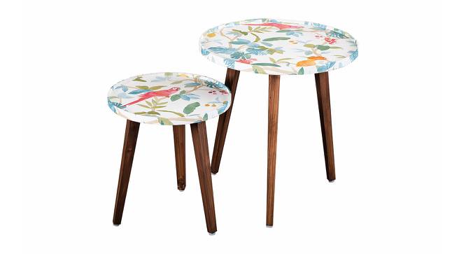 Pakshi Solid Wood Round Nested End Table in Paper Finish - Set of 2 (Multicolor, PU Paper Finish) by Urban Ladder - Front View Design 1 - 526629